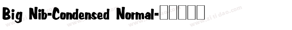 Big Nib-Condensed Normal字体转换